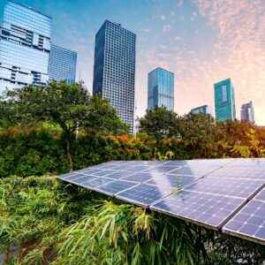 solar panels displayed in city with greenery